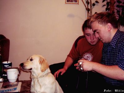 Kliknite pre zobrazenie v plnom rozlíšení