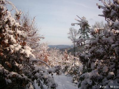 Pulsa aquí para ver la imagen a tamaño completo