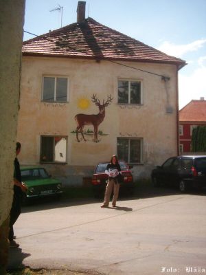 Cliquez pour voir l'image en taille réelle