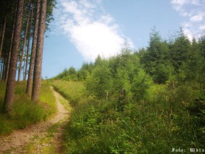 Kliknite pre zobrazenie v plnom rozlíšení