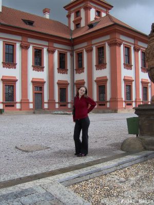 Cliquez pour voir l'image en taille réelle