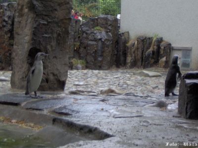 Kliknite pre zobrazenie v plnom rozlíšení