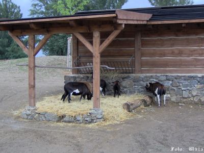 Kliknite pre zobrazenie v plnom rozlíšení