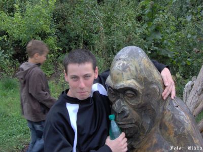 Klicken für Bild in voller Größe