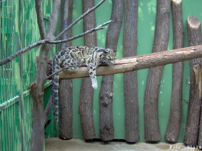 Kliknite pre zobrazenie v plnom rozlíšení