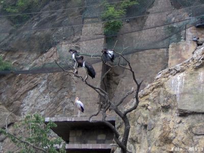 Pulsa aquí para ver la imagen a tamaño completo