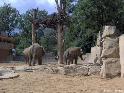 Klikněte pro zobrazení původního obrázku