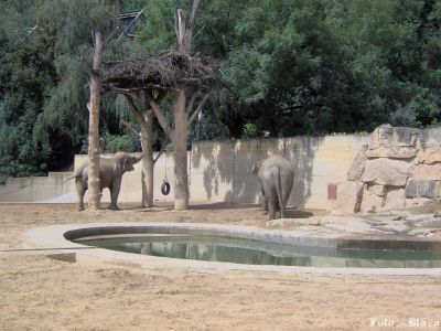 Klikněte pro zobrazení původního obrázku