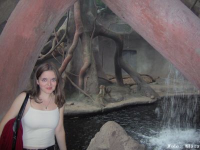 Kliknite pre zobrazenie v plnom rozlíšení