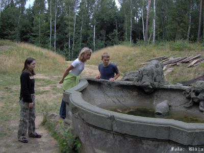 Click to view full size image