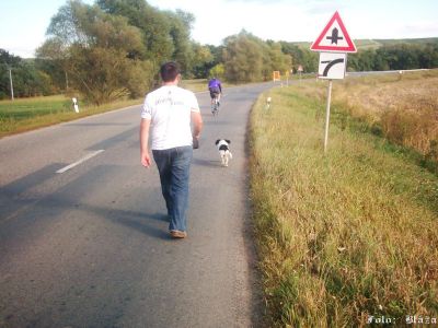 Kliknite pre zobrazenie v plnom rozlíšení