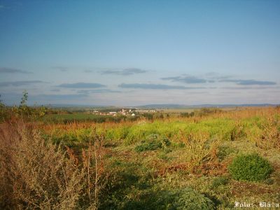 Kliknite pre zobrazenie v plnom rozlíšení