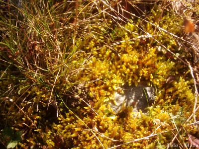 Kliknite pre zobrazenie v plnom rozlíšení