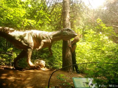 Kliknite pre zobrazenie v plnom rozlíšení