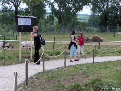 Kliknite pre zobrazenie v plnom rozlíšení