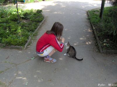 Kliknite pre zobrazenie v plnom rozlíšení
