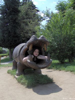 Klikněte pro zobrazení původního obrázku