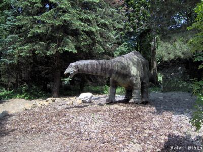 Kliknite pre zobrazenie v plnom rozlíšení