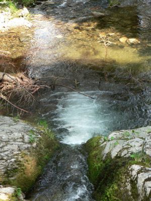 Kliknite pre zobrazenie v plnom rozlíšení