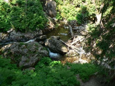 Kliknite pre zobrazenie v plnom rozlíšení