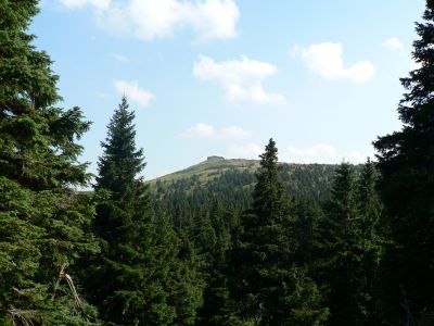 Pulsa aquí para ver la imagen a tamaño completo