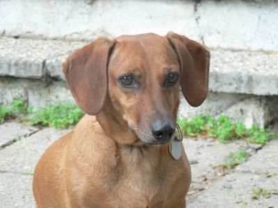 Kliknite pre zobrazenie v plnom rozlíšení