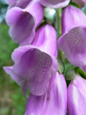 Kliknite pre zobrazenie v plnom rozlíšení