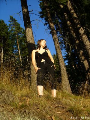 Cliquez pour voir l'image en taille réelle