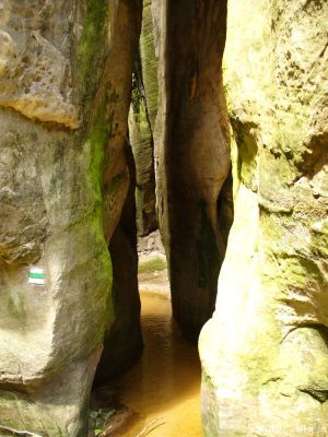 Kliknite pre zobrazenie v plnom rozlíšení