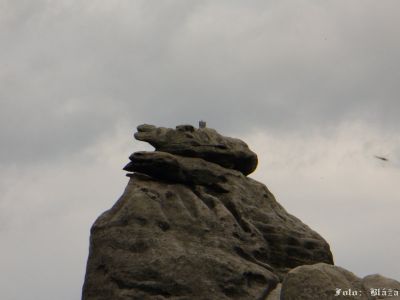 Kliknite pre zobrazenie v plnom rozlíšení