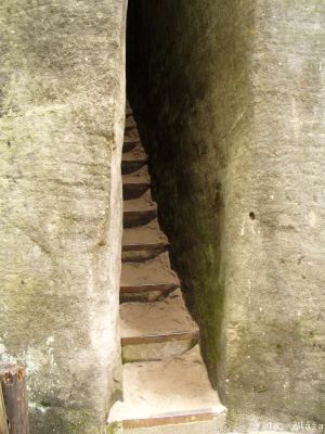 Cliquez pour voir l'image en taille réelle