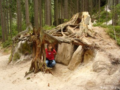 Kliknite pre zobrazenie v plnom rozlíšení