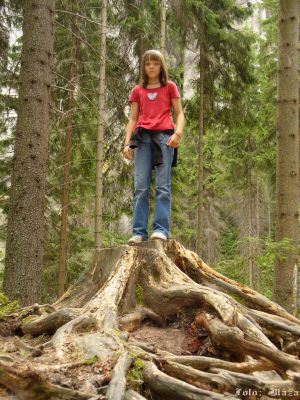 Pulsa aquí para ver la imagen a tamaño completo