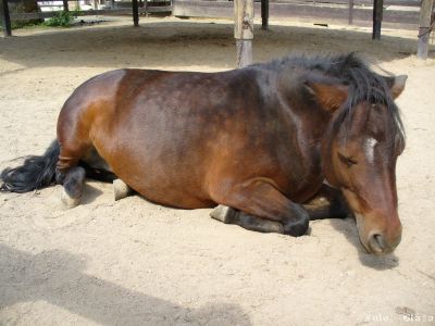 Kliknite pre zobrazenie v plnom rozlíšení