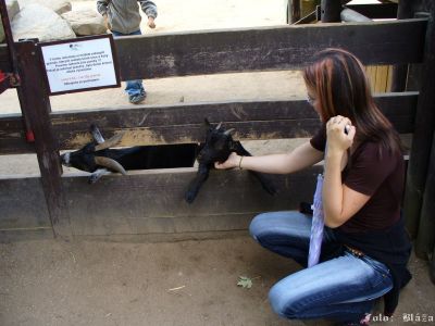 Kliknite pre zobrazenie v plnom rozlíšení