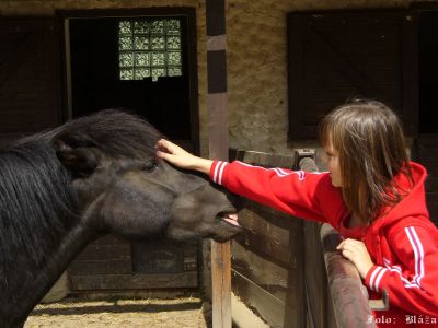 Cliquez pour voir l'image en taille réelle