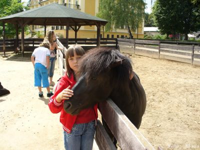 Kliknite pre zobrazenie v plnom rozlíšení