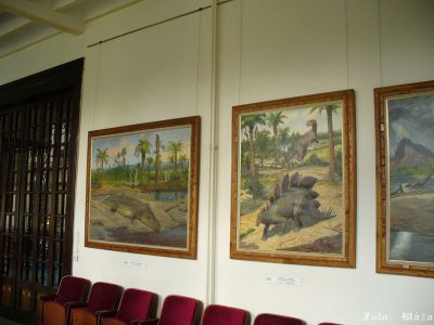 Kliknite pre zobrazenie v plnom rozlíšení