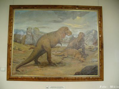 Kliknite pre zobrazenie v plnom rozlíšení