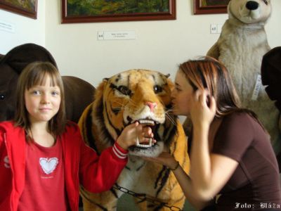 Klikněte pro zobrazení původního obrázku