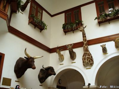 Kliknite pre zobrazenie v plnom rozlíšení