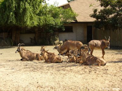 Kliknite pre zobrazenie v plnom rozlíšení