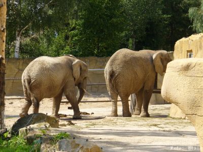 Kliknite pre zobrazenie v plnom rozlíšení