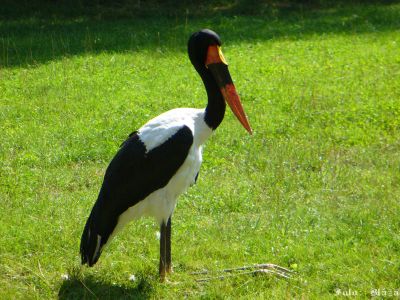 Pulsa aquí para ver la imagen a tamaño completo