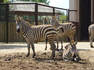 Pulsa aquí para ver la imagen a tamaño completo