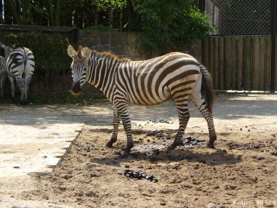 Pulsa aquí para ver la imagen a tamaño completo