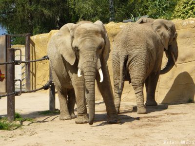 Kliknite pre zobrazenie v plnom rozlíšení