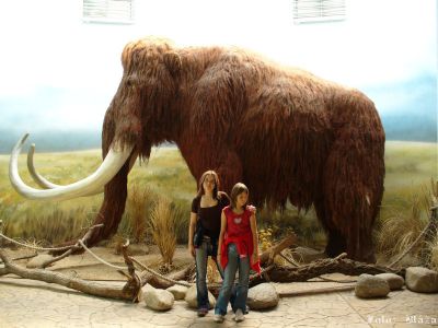 Kliknite pre zobrazenie v plnom rozlíšení