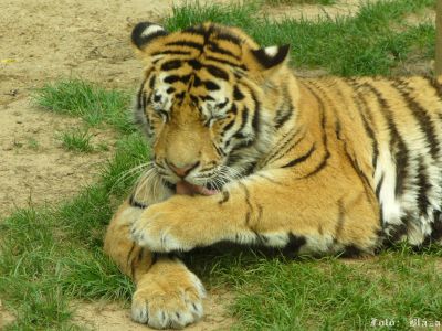 Kliknite pre zobrazenie v plnom rozlíšení