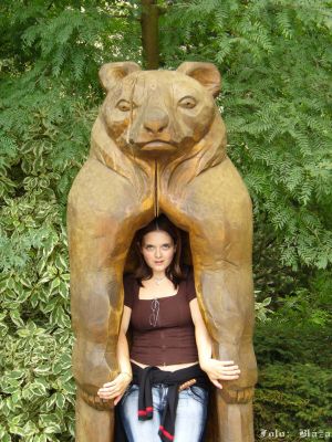 Klikněte pro zobrazení původního obrázku